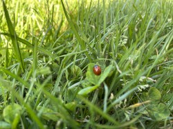 goodbye from somewhere