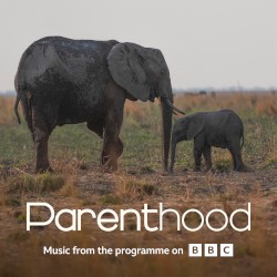 Go Steady (from BBC’s Parenthood)