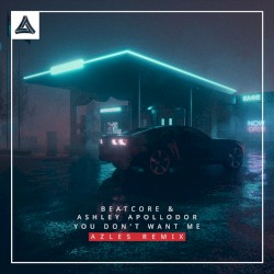 You Don't Want Me (Azles remix)