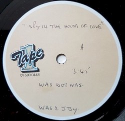 Spy in the House of Love