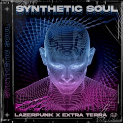 Synthetic Soul