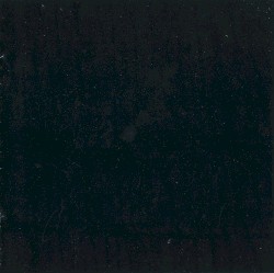 [The Black Album]