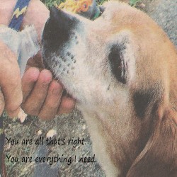 You Are Everything I Need