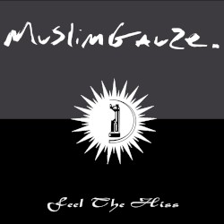 Zilver: Feel The Hiss