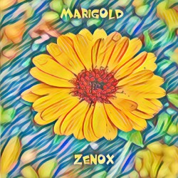 Marigold