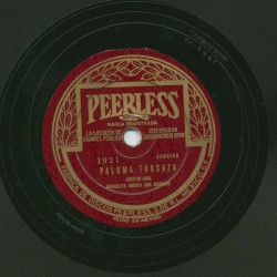 Paloma torcaza / De apokianchis