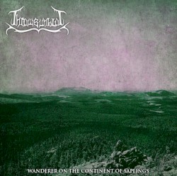 Wanderer on the Continent of Saplings