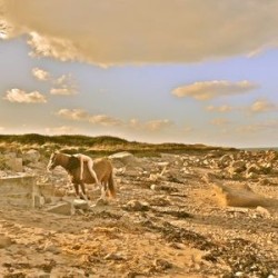 Thébaïde de Pierres Bleues