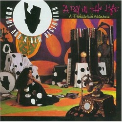 A Day in the Life: A Pokadelick Adventure