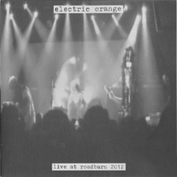 Live at Roadburn 2012