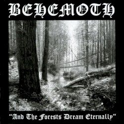 And the Forests Dream Eternally