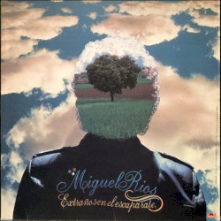 Extraños en el escaparate