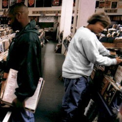 Endtroducing.....