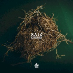 Raíz