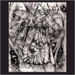 Mycelium Shroud