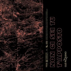 Non ci sei tu / T'apposto