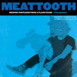 Sending Postcards From a Plane Crash