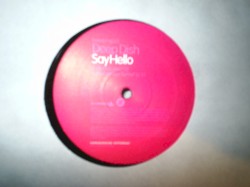Say Hello (Incl Paul Van Dyk R