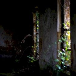 Obscured by Beams of Sorrow