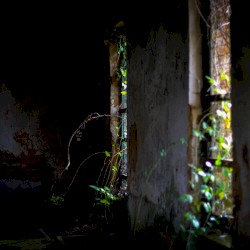 Obscured by Beams of Sorrow