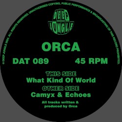 What Kind of World / Camyx / Echoes