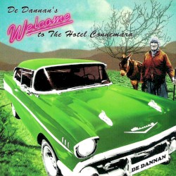 Welcome to the Hotel Connemara