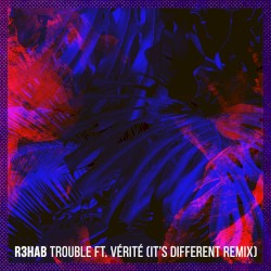 Trouble (it’s different remix)