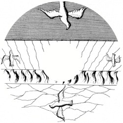 MMXX - 04: Les Champs Lissajous