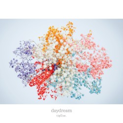 daydream
