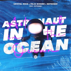 Astronaut in the Ocean