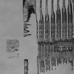 existing, do not desire to be perceived