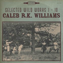 Selected Wild Works 1 - 10