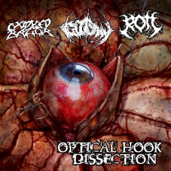 Optical Hook Dissection