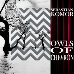 Owls of Chevron