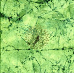 Webs Among the Din Vol. II