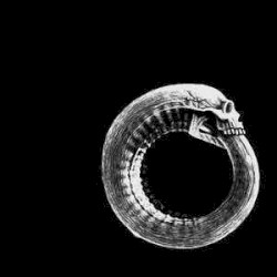 Scandinavian Leather