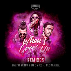 When I Grow Up (the remixes)