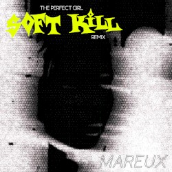 The Perfect Girl (Soft Kill remix)