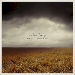 I See Three Birds Flying