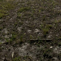 New Site Functionality