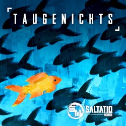 Taugenichts