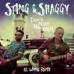 Don't Make Me Wait (iLL Wayno remix)