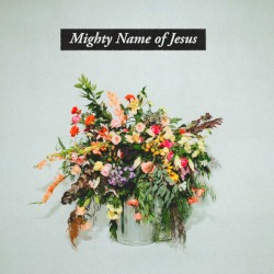 Mighty Name of Jesus