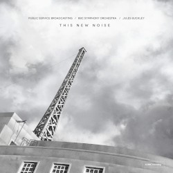 This New Noise