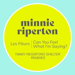 Les Fleurs / Can You Feel What I’m Saying? (Timmy Regisford Shelter remixes)