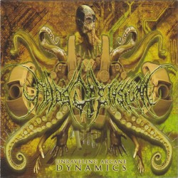 Unraveling Arcane Dynamics