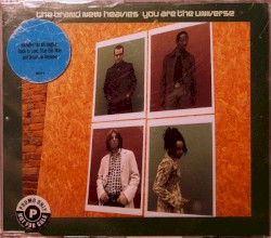 You Are the Universe