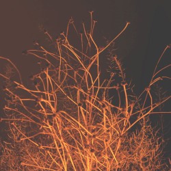 ноль,два ноля,ноль