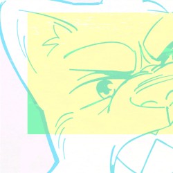 Motherfucker and a Half