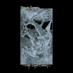 Magic Crystal Remixes